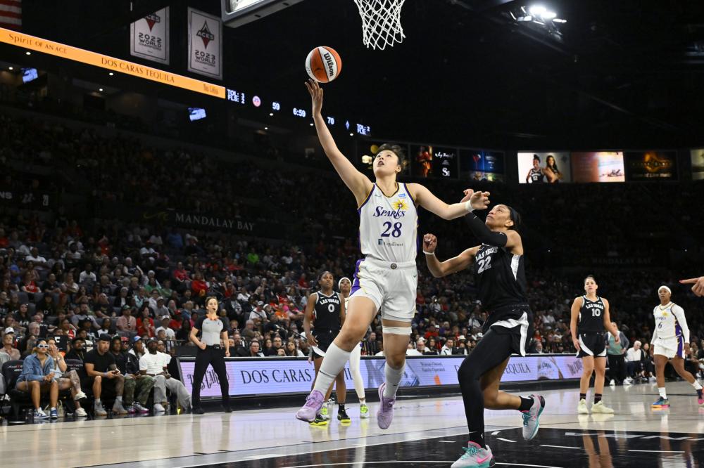 的双重博弈 的双重博弈